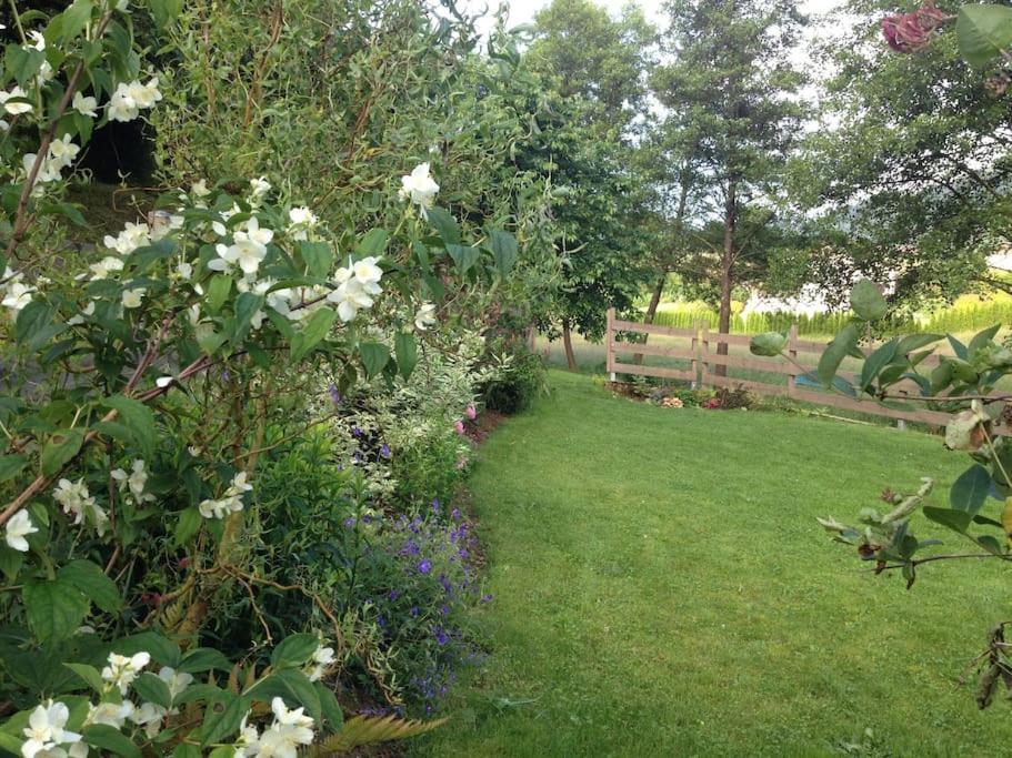 Le Moulin De L Epine Βίλα Taintrux Εξωτερικό φωτογραφία