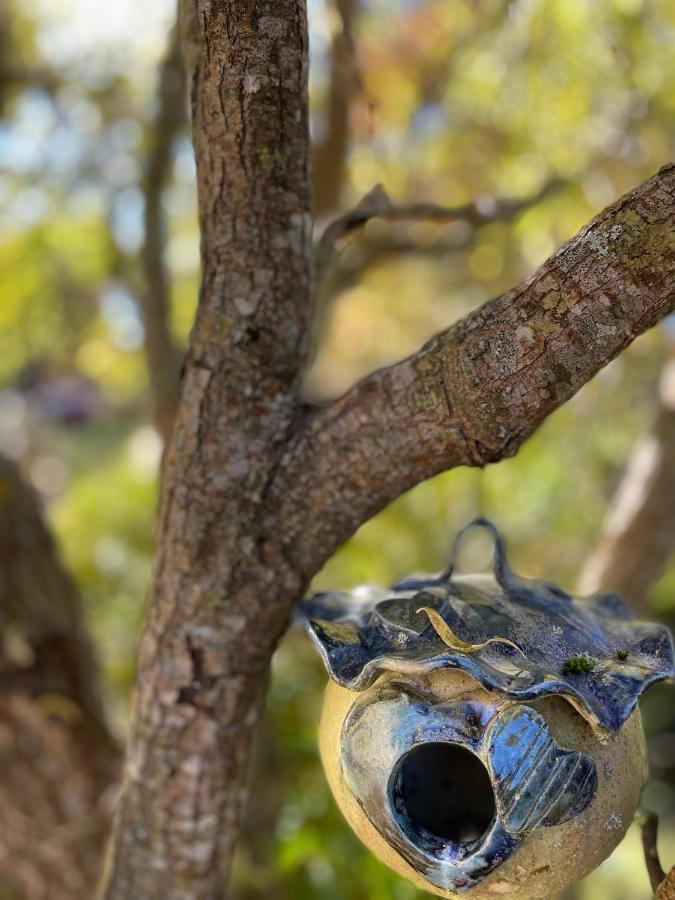 Le Moulin De L Epine Βίλα Taintrux Εξωτερικό φωτογραφία